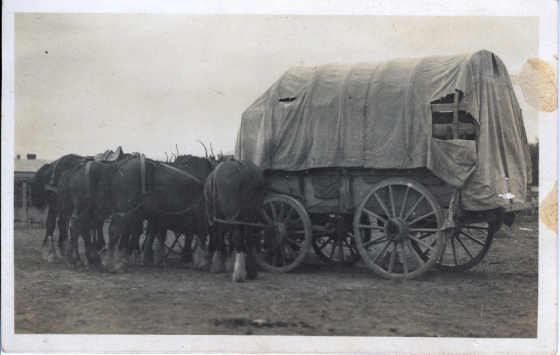 Covered wagon and horses High Country History Hub