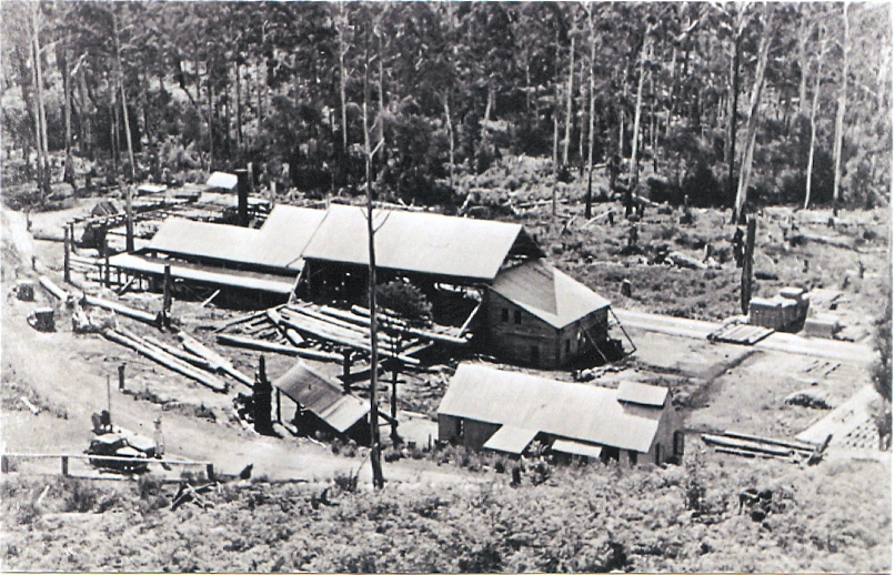 Mirimbah Sawmill High Country History Hub