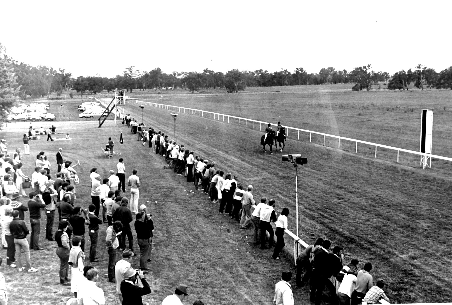 Mansfield Racecourse High Country History Hub