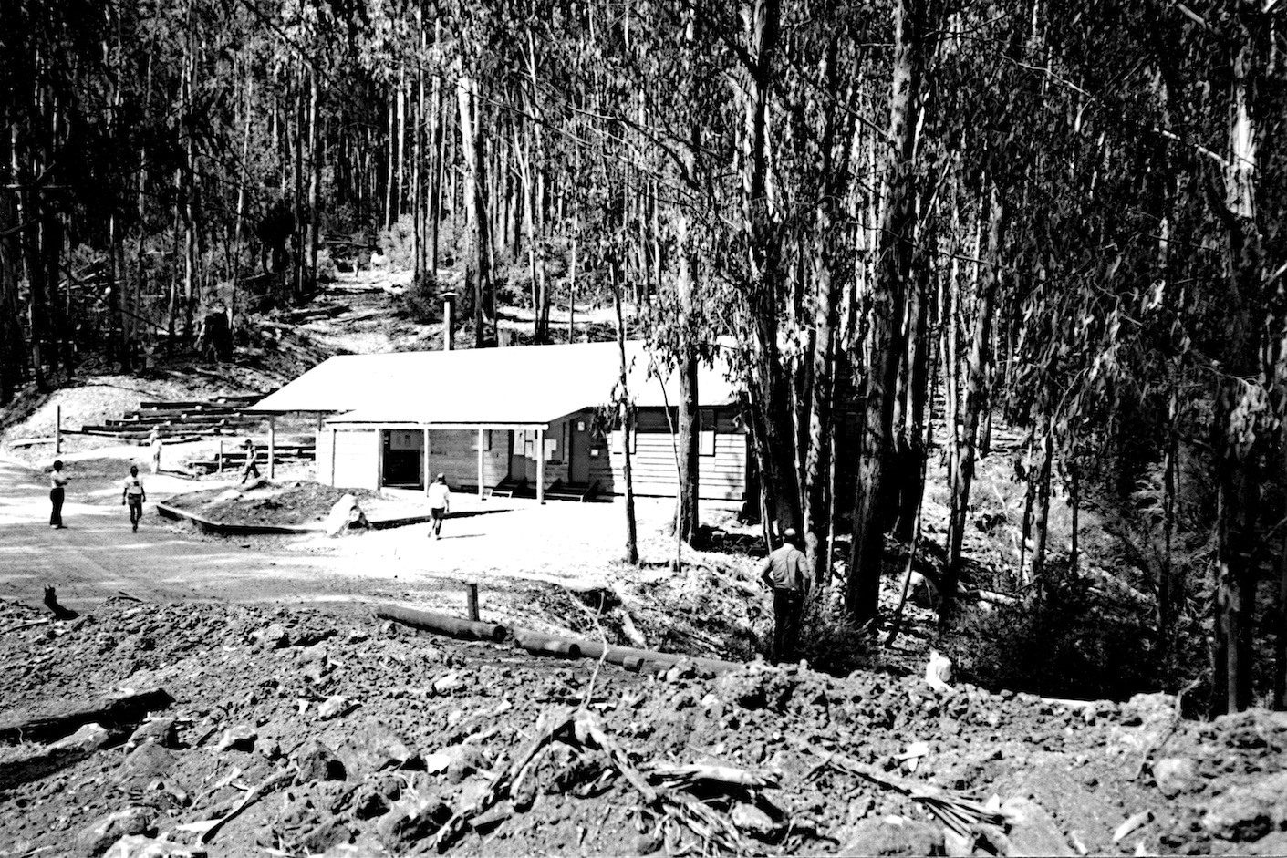 Telegraph Box Junction Mt Stirling taken from the toboggan run